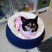Barbara Burtt - Facebook