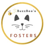 Barbara Busby - @buzzbeefosters - Instagram