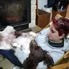Barbara Buselli - @barbarabuselli - TikTok