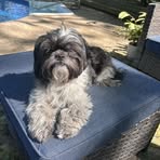 Barbara Buys - Facebook