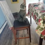 Barbara Byrd - Facebook
