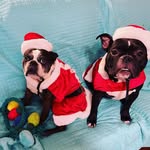 Barbara Cagle - @marilyn_and_samhealy - Instagram
