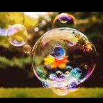 Barbara Calore - Facebook