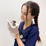 Barbara Camacho | Veterinária & PetSitter - @mv.barbaracamacho - Instagram