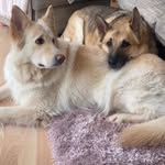Barbara Canham - @barbaravickers_ - Instagram