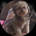 Barbara Cannon - @barb.aracannon638 - Instagram