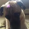 Barbara Cannon - @barbaracannon5 - TikTok