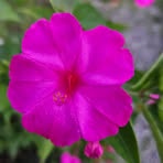 Barbara L. Cantrell - Facebook