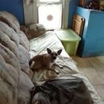 Barbara Carpenter - @carpenter6204 - Instagram