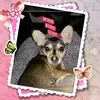 Barbara Carpenter - @2166942080 - TikTok