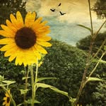 Barbara Carpenter - @barcarphoto - Instagram