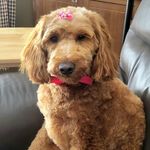 Barbara Caspersen Perry - @barbaracaspersenperry - Instagram