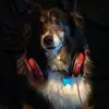 Barb - @barbaracastle3067 - TikTok