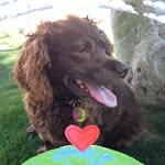 Barbara Castle - @barbara.castle.50 - Instagram