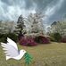 Barbara Causey - Facebook