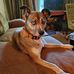 Barbara Causey - Facebook
