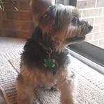 Barbara Cavanaugh - @barbca122 - Instagram