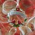Barbara Chambliss - Facebook