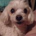 Barbara Chance - Facebook