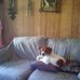 Barbara Chapman - Facebook