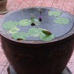 Barbara Chevalier - @bchevalier2024 - Instagram