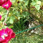 Barbara Hutchins Chism - @barbrachism - Instagram