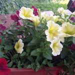 Barbara Chudzik - @chudzikbarbara4 - Instagram