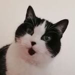 Barbara Clegg - @barbara.clegg.9659 - Instagram