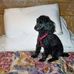 Barbara Clements - Facebook