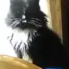 barbaraclements67 - @barbaraclements67 - TikTok