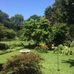 Barbara Cloninger - Facebook