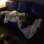 Barbara Cloninger - @cloningerbarbara - Instagram