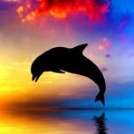 Barbara Coble - Facebook