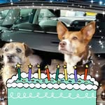 Barbara Colton-Whittaker - @barbaracolton - Instagram
