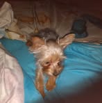 Barbara Combs - Facebook