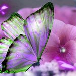 Barbara Combs O'Keefe - @baroke2 - Instagram