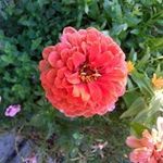 Barbara Comer - @gmbilmb - Instagram