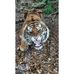 Barbara Conforti - Facebook