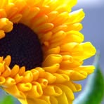 Barbara Cookson - Facebook