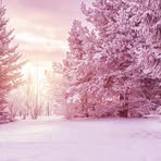 Barbara Cookson - Facebook