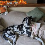 Barbara Coons - @coonsbac - Instagram