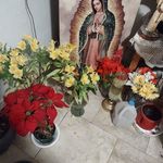 Barbara Cordero - @barbara.cordero.921 - Instagram