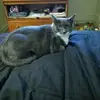 Barbara Cornell - @barbara.cornell7 - TikTok