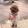 Barbara - @barbara_corner - TikTok