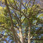 Santa Barbara Corner - @santabarbaracorner - Instagram