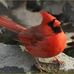 Barb Corning - Facebook