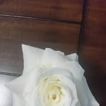 Barbara Corrales Sanchez - @barbara.sanchez.7902 - Instagram