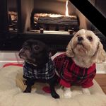 Barbara Katzenback-Corry - @katzenbackcorry - Instagram