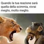 Barbara Corti - Facebook