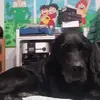 Barbara Corti - @barbara.corti46 - TikTok